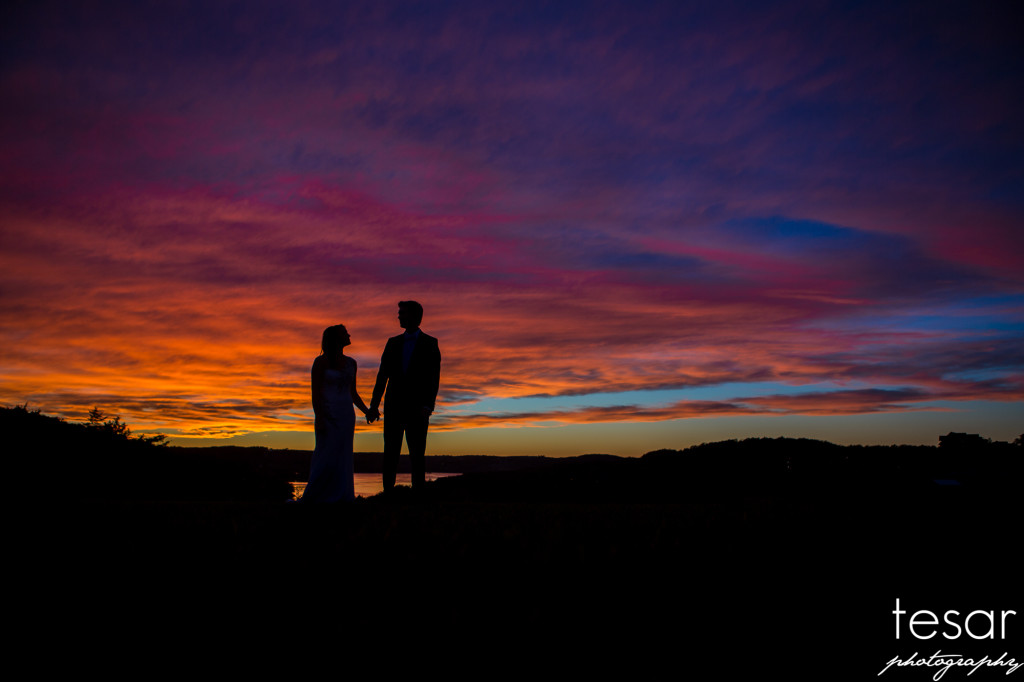 Big Cedar Lodge Wedding Photographer-1057