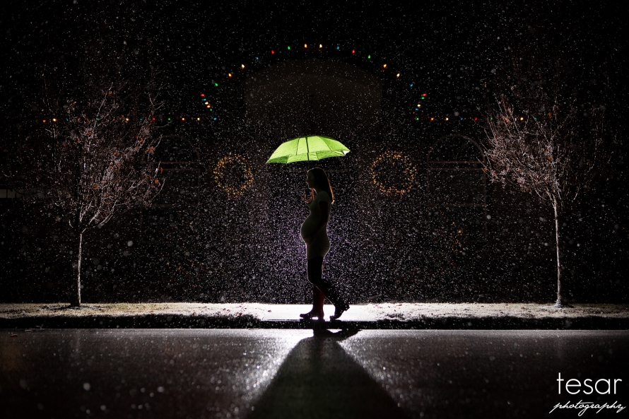 Snow-2001editWEB(pp_w890_h593)