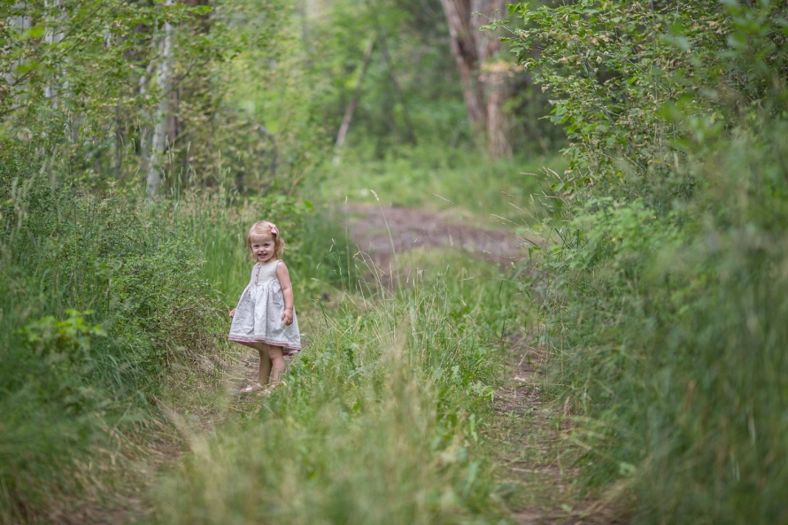 colorado-2015-web-sized-1032pp_w890_h593