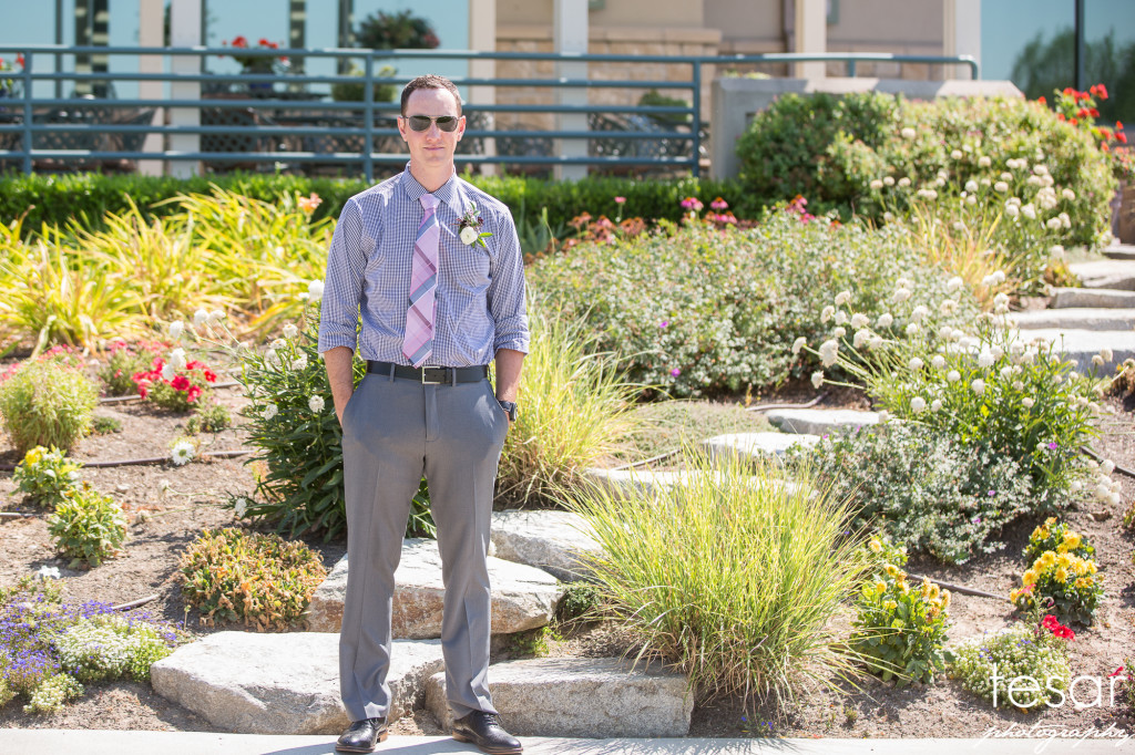 hofer-web-sized-2000