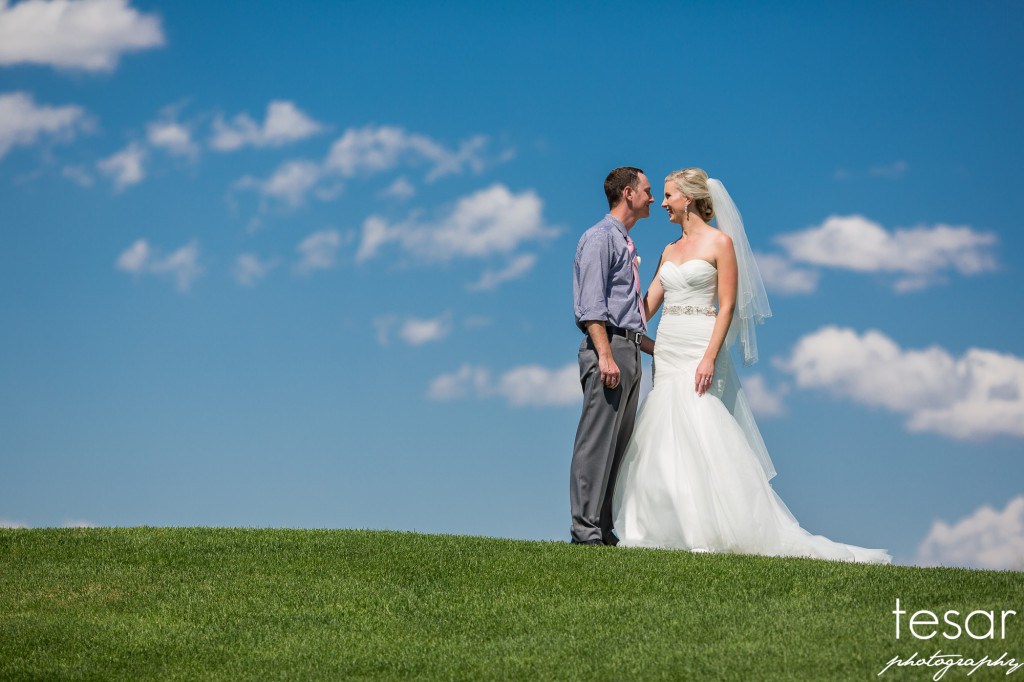 hofer-web-sized-2029