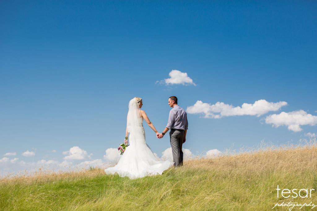 hofer-web-sized-2080