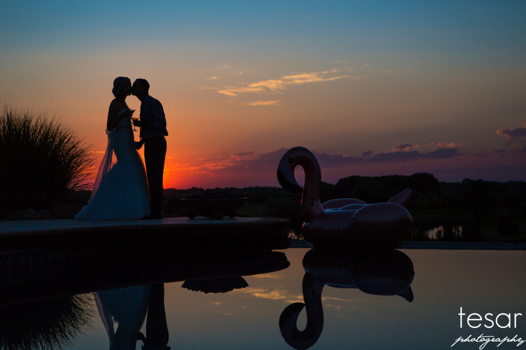 hofer-web-sized-6116