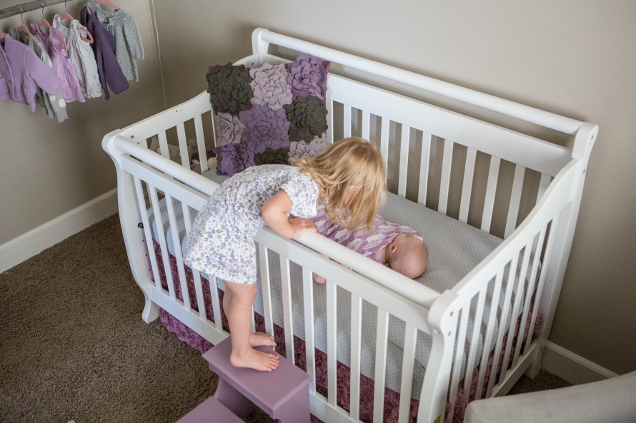 june-2016-web-sized-1856pp_w890_h593