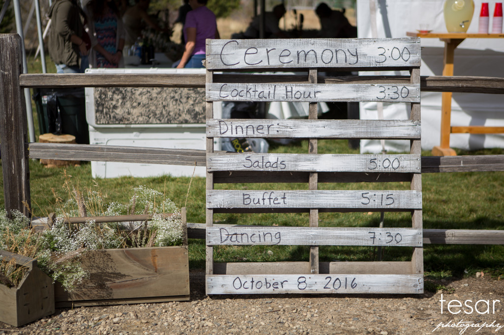 madi-meiler-web-sized-6009