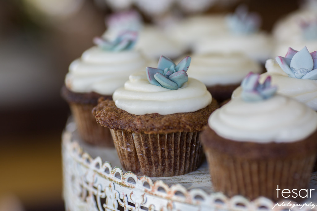 madi-meiler-web-sized-6135