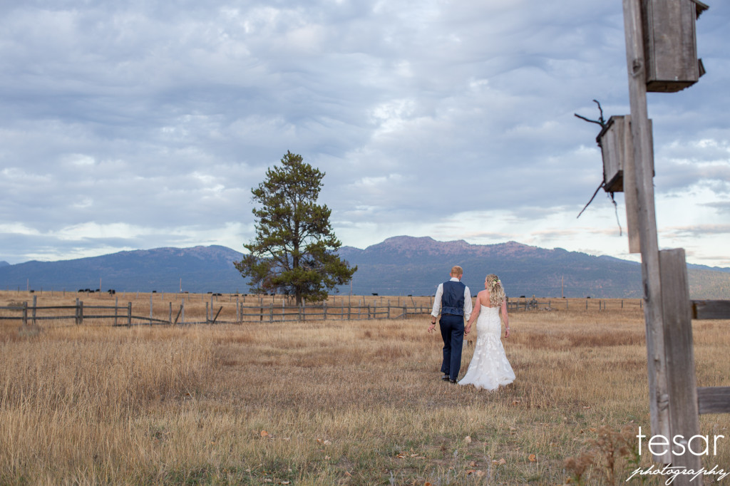 madi-meiler-web-sized-6255