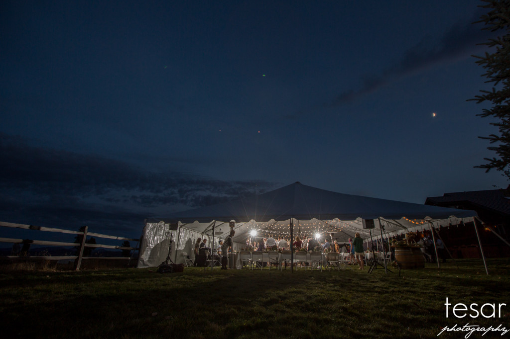 madi-meiler-web-sized-6371