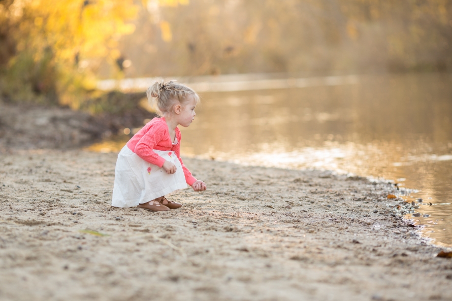 november-2016-web-sized-2047pp_w890_h593