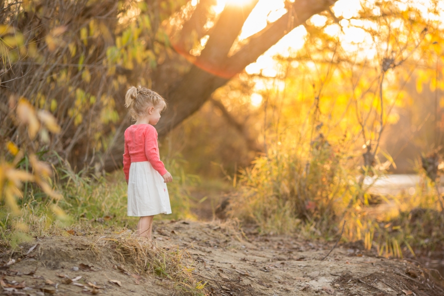 november-2016-web-sized-2100pp_w890_h593