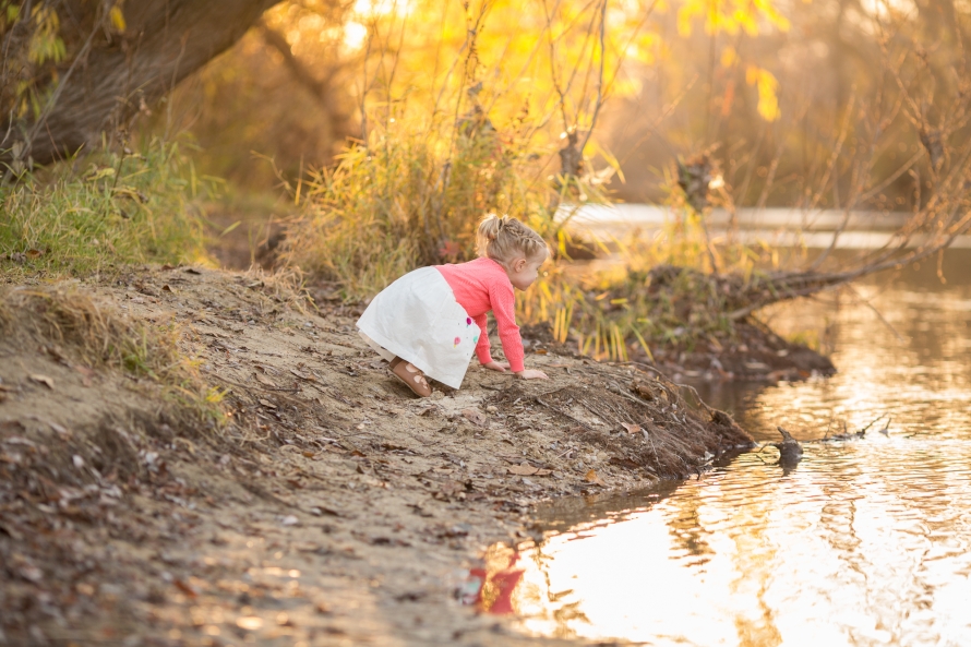 november-2016-web-sized-2101pp_w890_h593