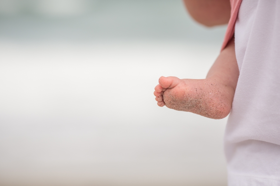 florida-2016-web-sized-2090pp_w890_h593