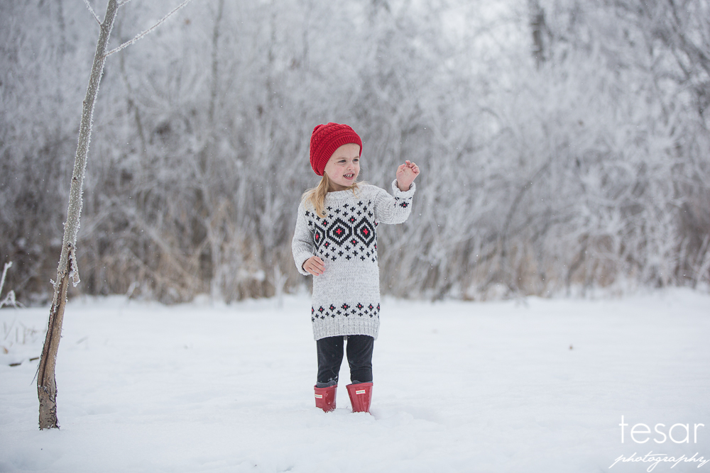 december-2016-frost-4800