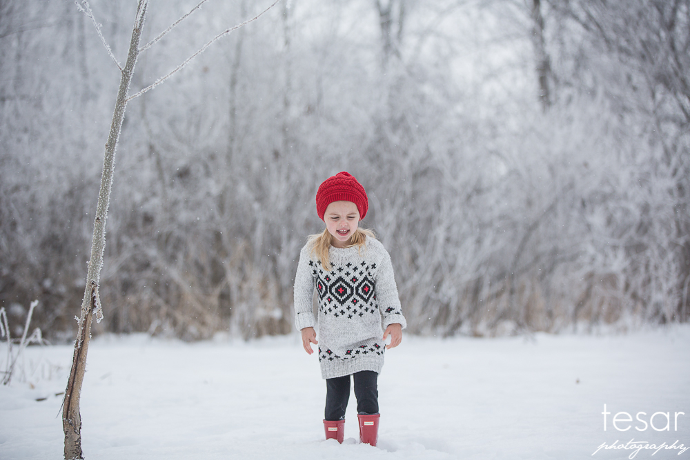 december-2016-frost-4801