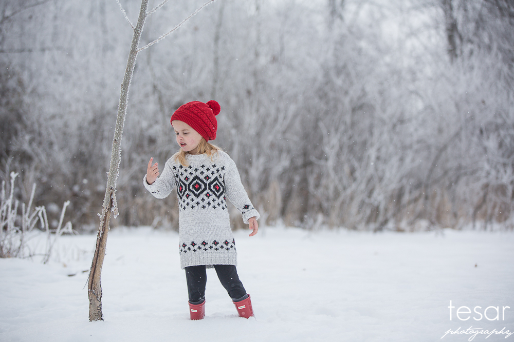 december-2016-frost-4802