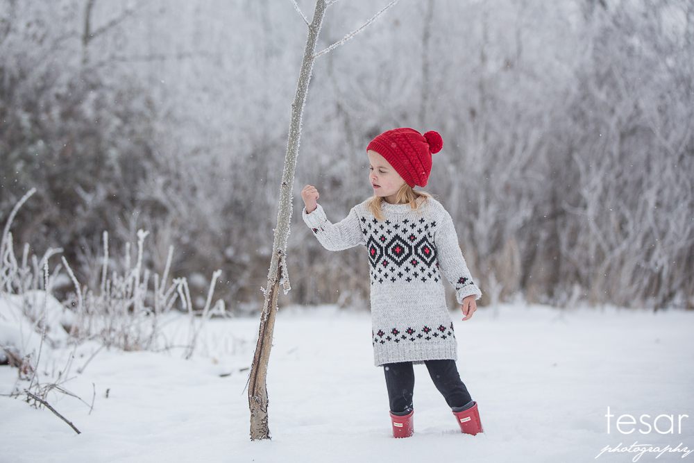 december-2016-frost-4803