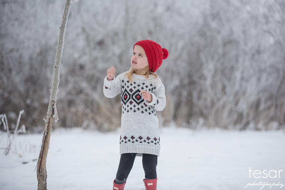 december-2016-frost-4804