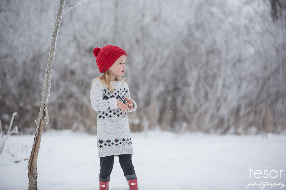 december-2016-frost-4805