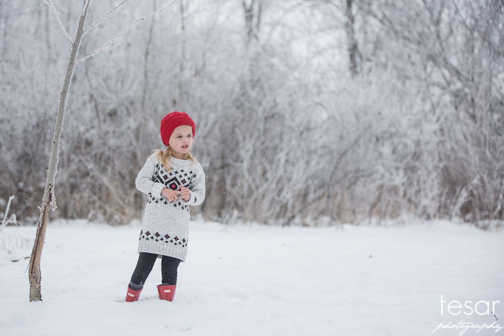 december-2016-frost-4807