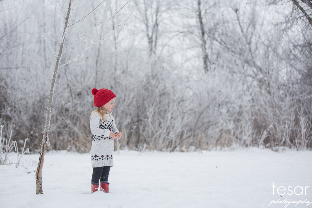 december-2016-frost-4808