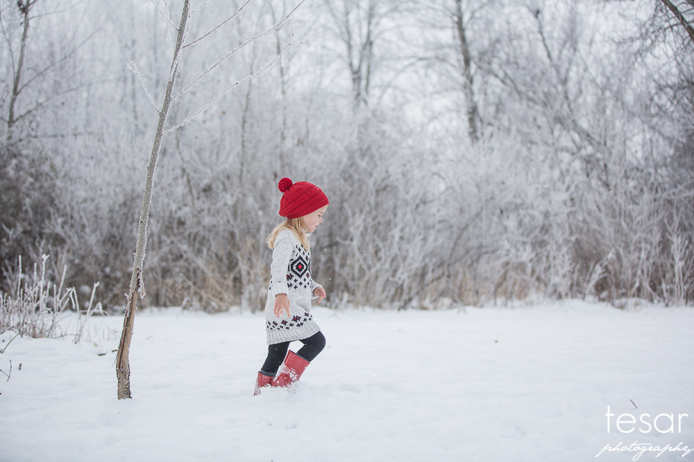 december-2016-frost-4809