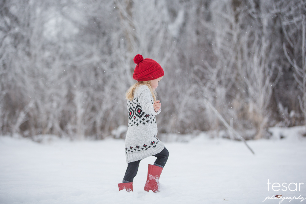 december-2016-frost-4810