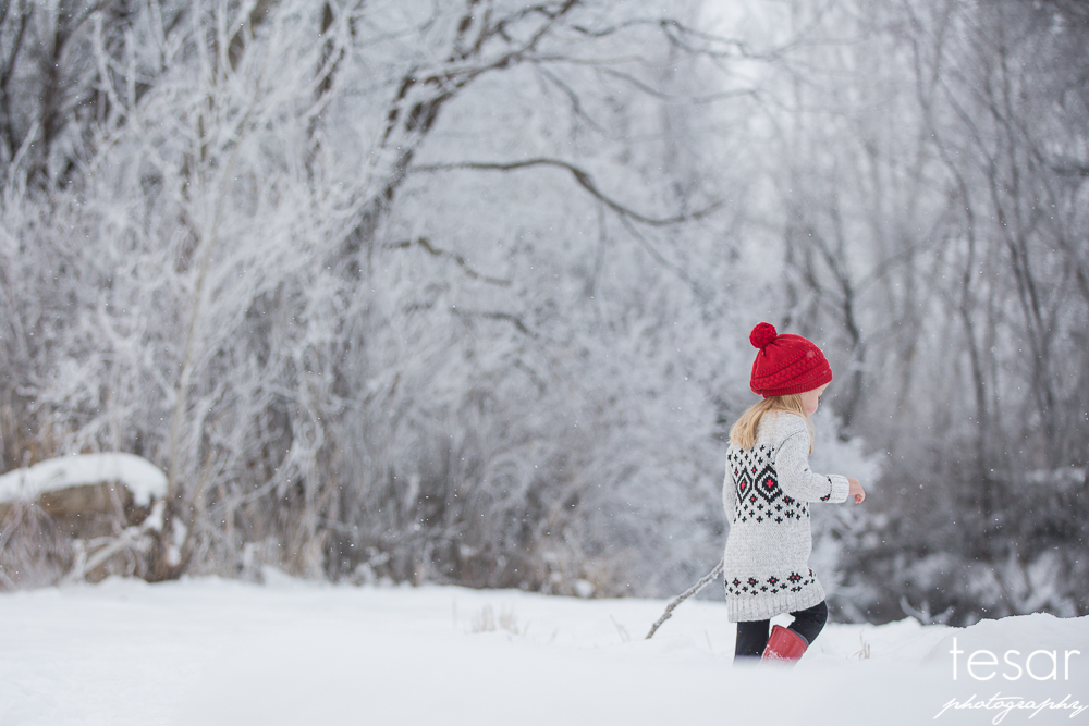 december-2016-frost-4811