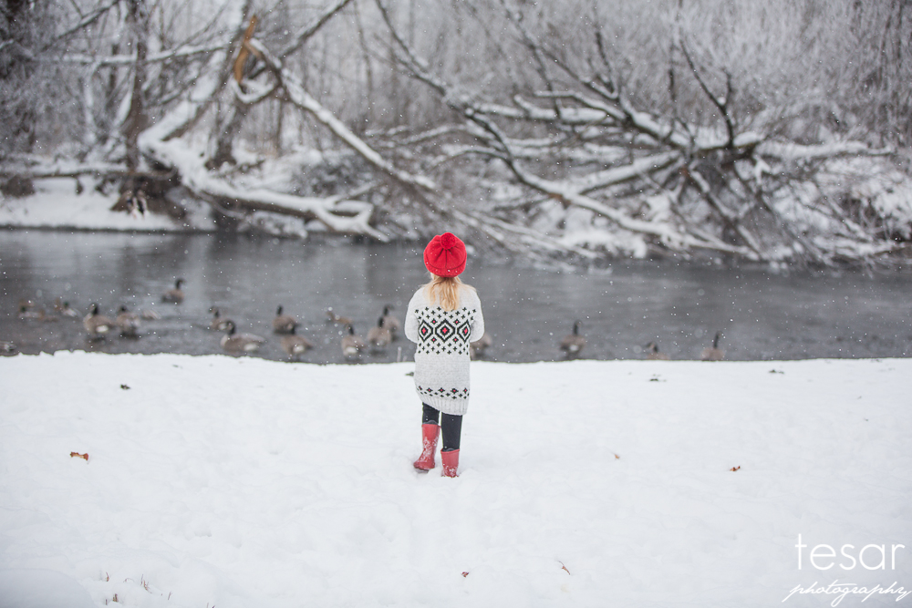 december-2016-frost-4812