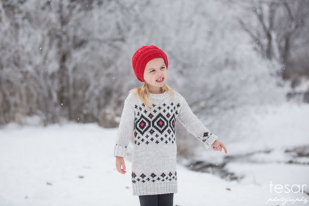 december-2016-frost-4814