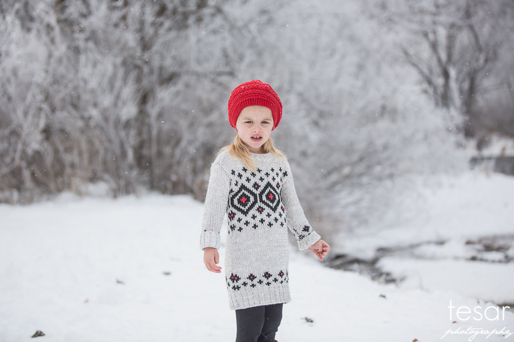 december-2016-frost-4815