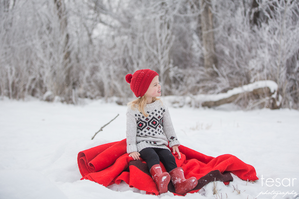 december-2016-frost-4816